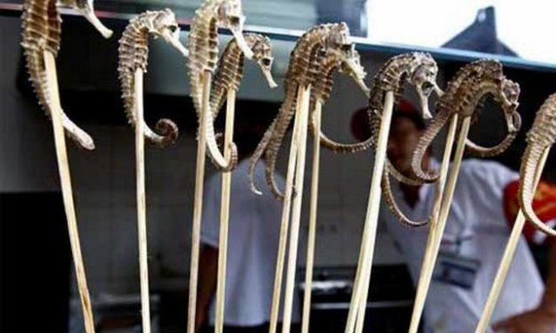 Aç kalmayı tercih edeceğiniz en iğrenç yemekler