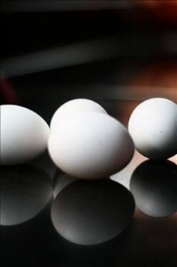 Yumurta hakkında bilinmeyenler