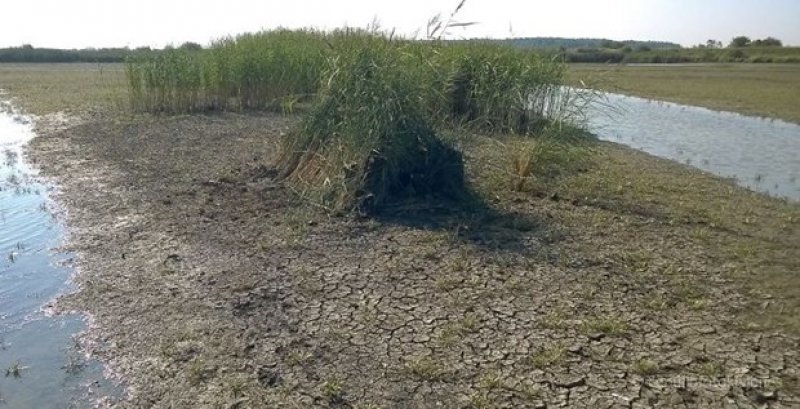 Fotoğrafçıların ilginç halleri