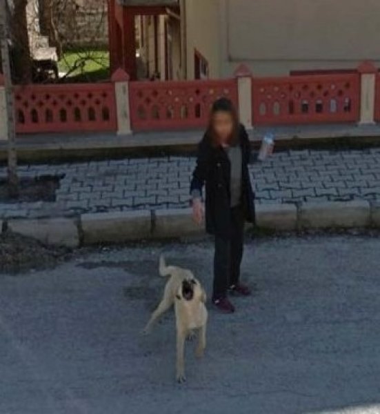 Google'ın kamerasına yakalanan Türkler 