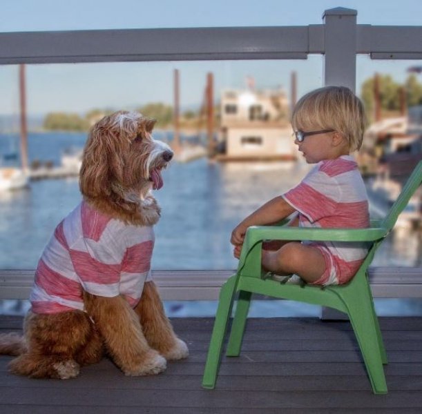 3 yaşındaki Buddy ve en yakın dostu aynı kaderi paylaşıyor