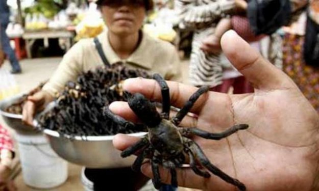 Aç kalmayı tercih edeceğiniz en iğrenç yemekler