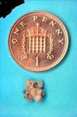 Dünyanın en ilginç olayları