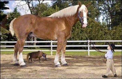 Dünyanın en ilginç olayları