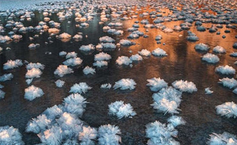 Nadir görülen doğa olayları 