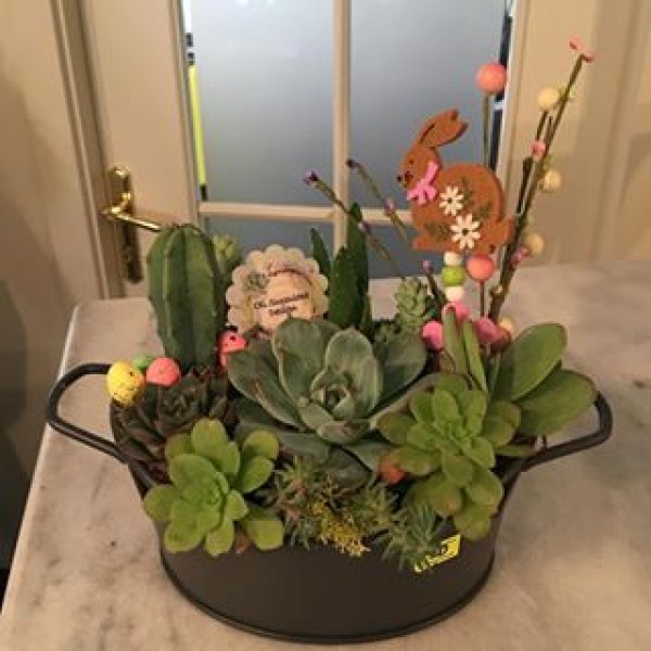 Dekorasyonda sukulent şıklığı