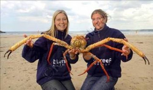 Dünyanın en ilginç olayları