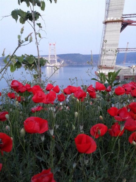 3. köprünün ayakları tamamlandı