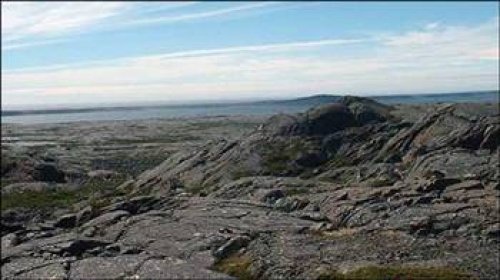 Dünyanın en ilginç olayları