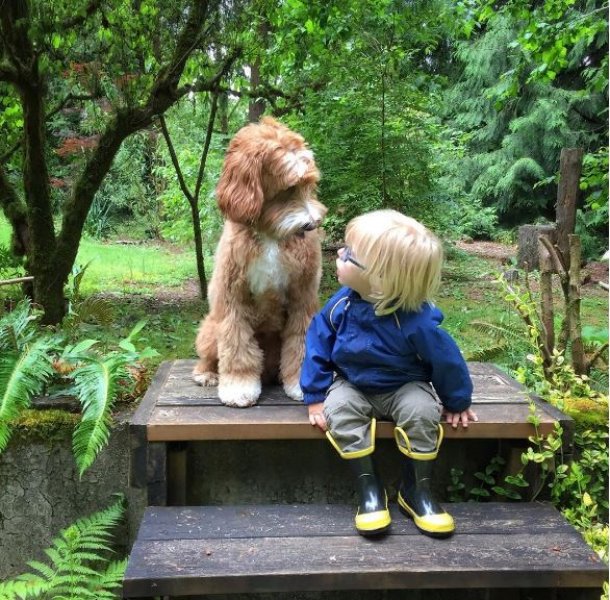 3 yaşındaki Buddy ve en yakın dostu aynı kaderi paylaşıyor