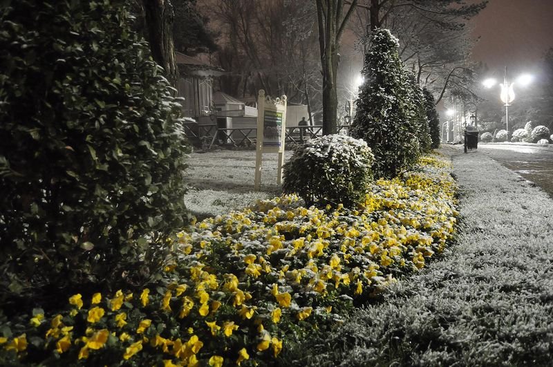 İstanbul'da kar yağışı etkili oldu