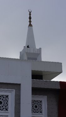 Kadın mimarın 10 yılda yaptığı cami görenleri mest etti