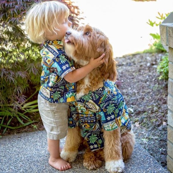 3 yaşındaki Buddy ve en yakın dostu aynı kaderi paylaşıyor