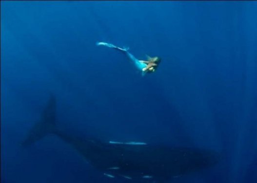 Hannah kendini deniz kızı sanıyor