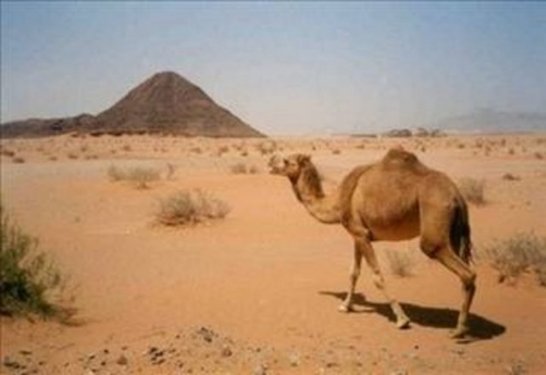 Kimsenin bilmediği şaşırtıcı gerçekler