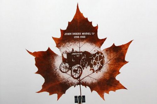 Yaprakları dantel gibi işlediler