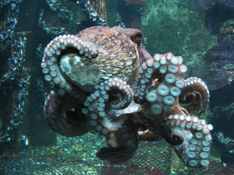 2016'da bilim dünyasında yaşanan önemli gelişmeler