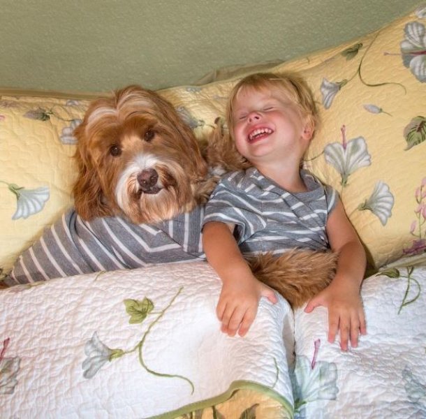 3 yaşındaki Buddy ve en yakın dostu aynı kaderi paylaşıyor