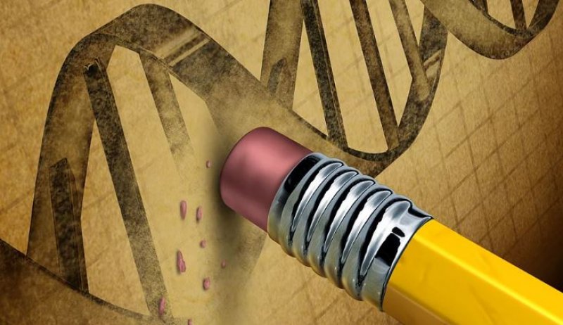 2016'da bilim dünyasında yaşanan önemli gelişmeler