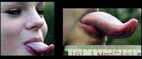 Dünyanın en ilginç olayları