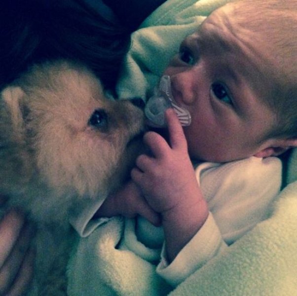 Yolanthe oğluyla bir örnek