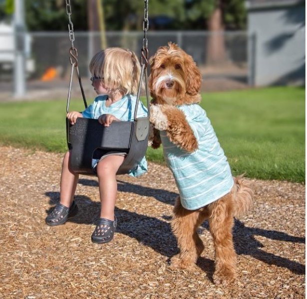 3 yaşındaki Buddy ve en yakın dostu aynı kaderi paylaşıyor