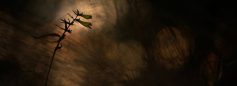 Alman fotoğrafçı Klaus Tamm'ın objektifinden inanılmaz fotoğraflar 