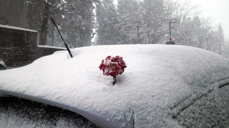 İstanbul'da kar yağışı hayatı olumsuz etkiledi