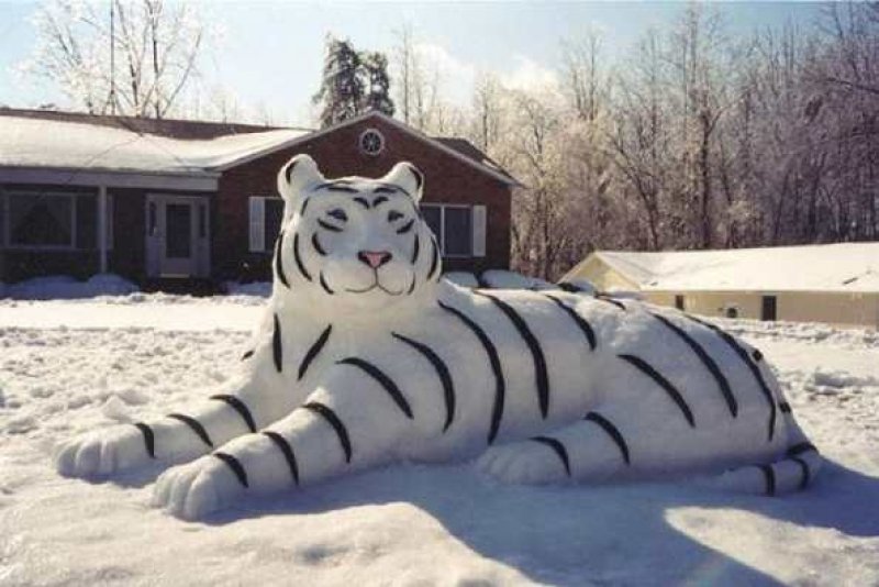 Kardan yapılan ilginç heykeller 