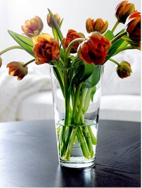 Kadın dediğin bunlara sahip olmalı