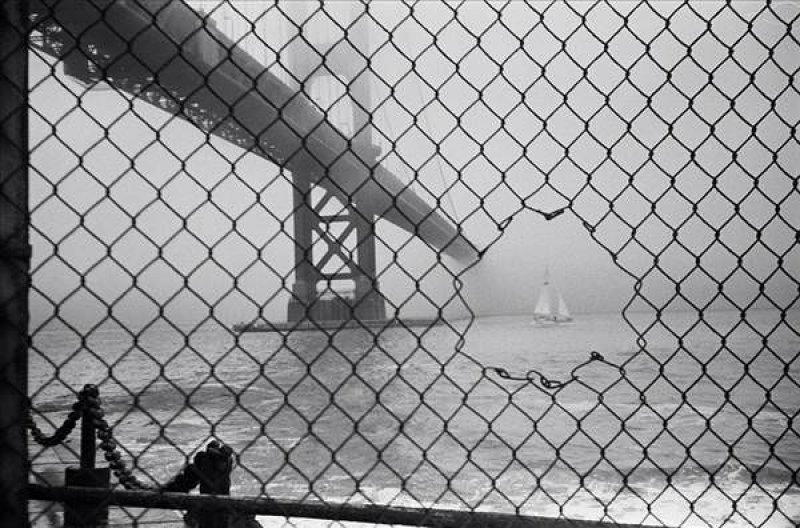 Mükemmel bir zamanlamayla çekilmiş 50 fotoğraf