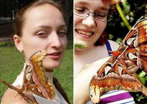 Dünyanın en ilginç olayları