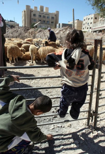 Kurbanlık satış fiyatları açıklandı