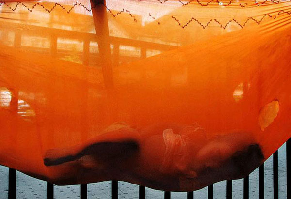 2009 un en iyi fotoğrafları 