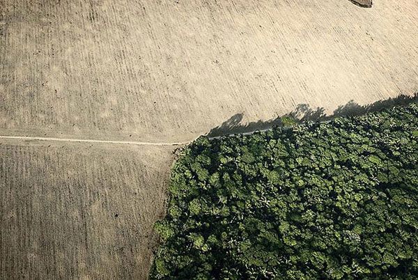 2009 un en iyi fotoğrafları 