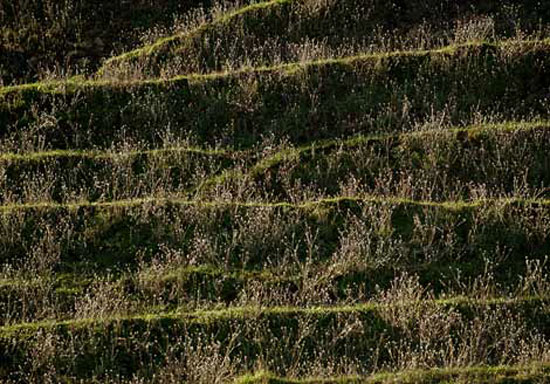 2009 un en iyi fotoğrafları 