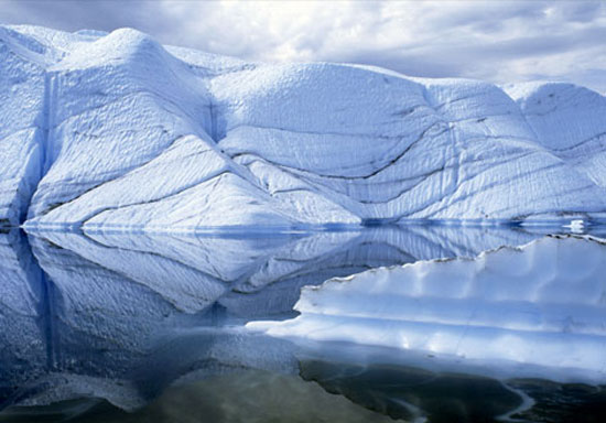 2009 un en iyi fotoğrafları 