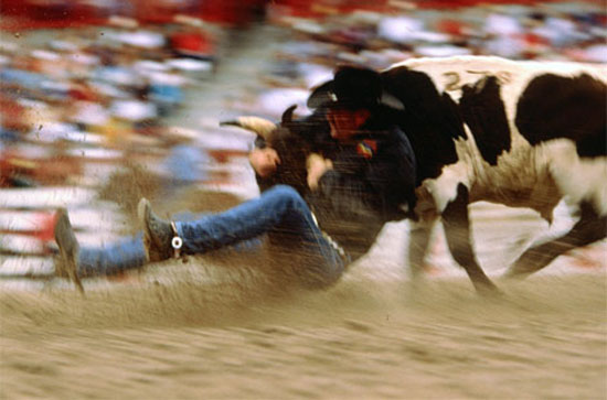 2009 un en iyi fotoğrafları 