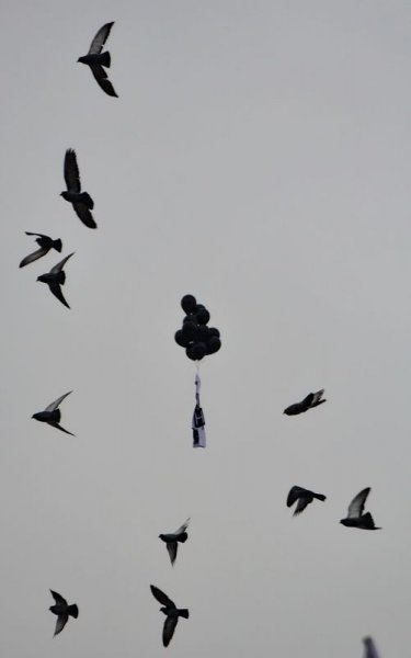 Paris'te binlerce kişi teröre karşı toplandı