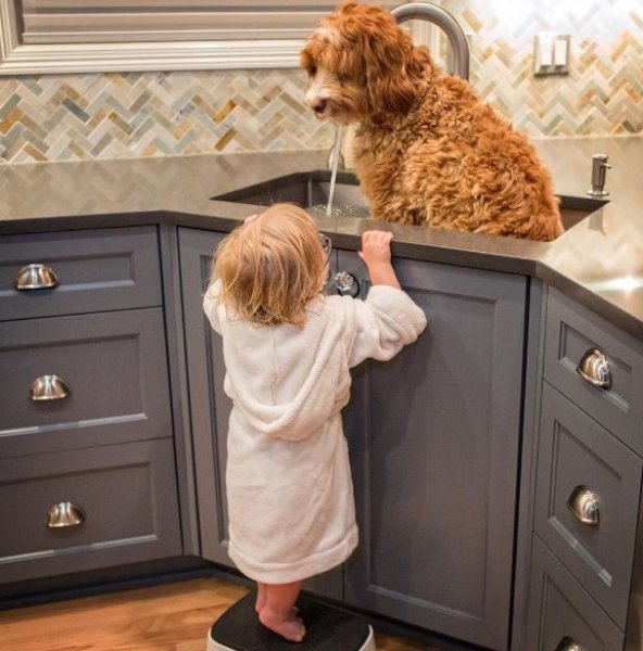 3 yaşındaki Buddy ve en yakın dostu aynı kaderi paylaşıyor