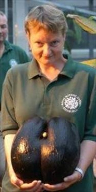 Dünyanın en ilginç olayları