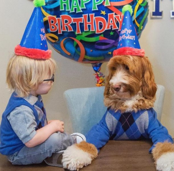 3 yaşındaki Buddy ve en yakın dostu aynı kaderi paylaşıyor