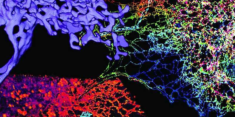 2016'da bilim dünyasında yaşanan önemli gelişmeler