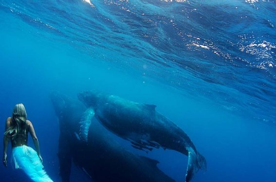 Hannah kendini deniz kızı sanıyor