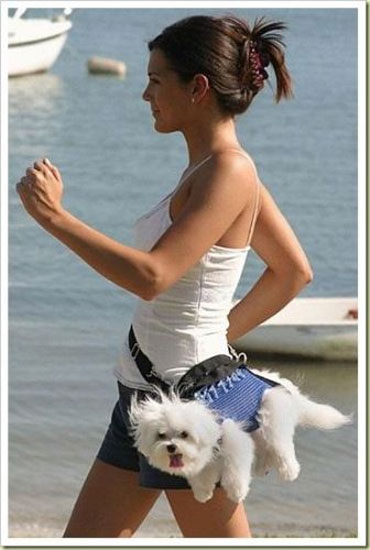 Hayvanların en komik halleri 