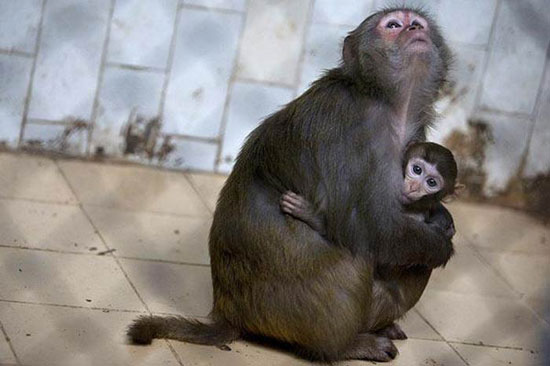 Hayvanların en komik halleri 