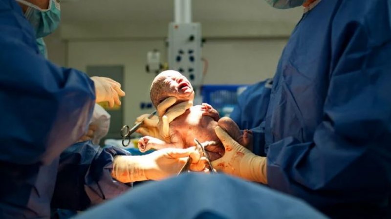 2016'da bilim dünyasında yaşanan önemli gelişmeler