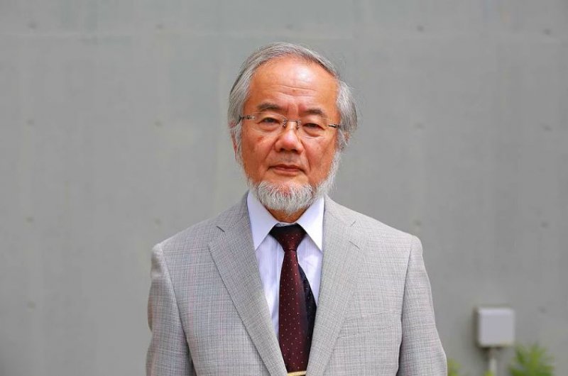 2016'da bilim dünyasında yaşanan önemli gelişmeler