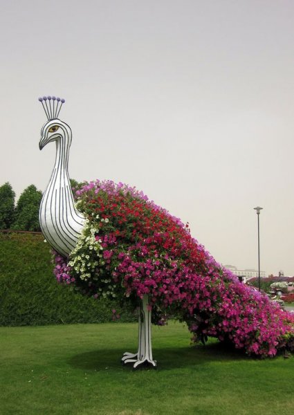 Dünyanın en büyük çiçek bahçesi