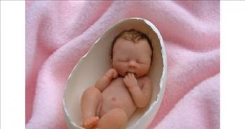 Dünyanın en ilginç olayları